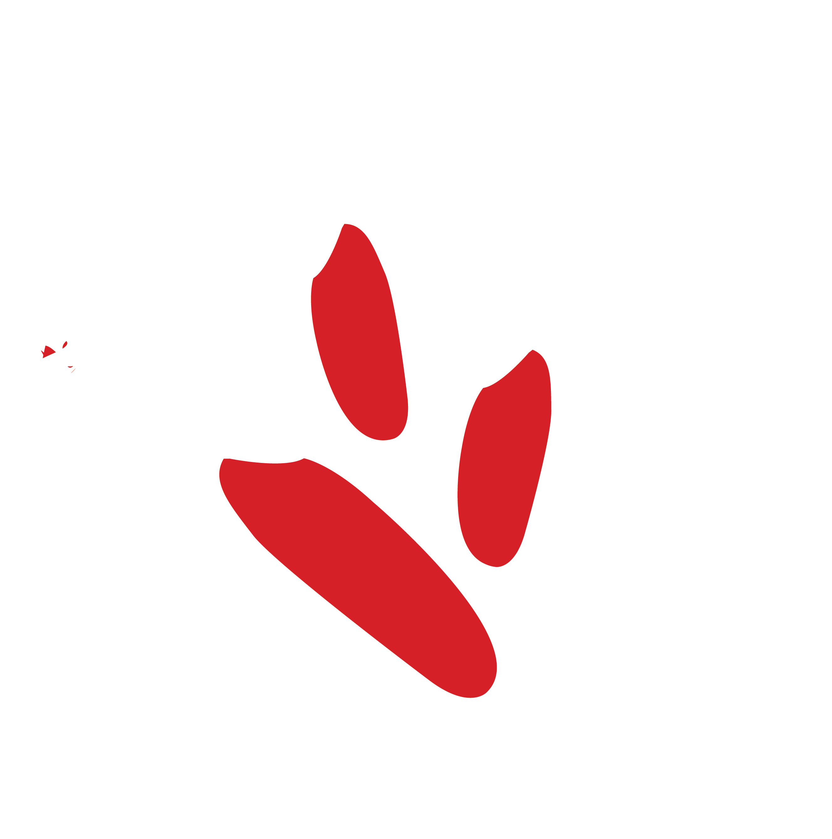 Shubh Atika Monogram Logo
